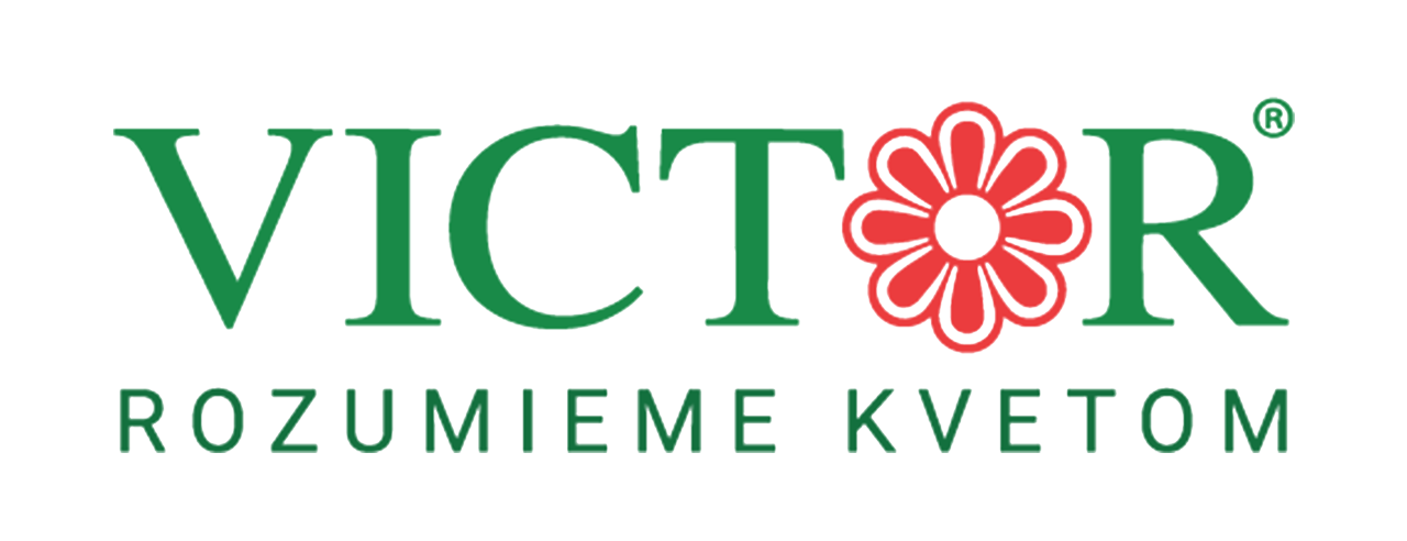 logo Kvety VICTOR